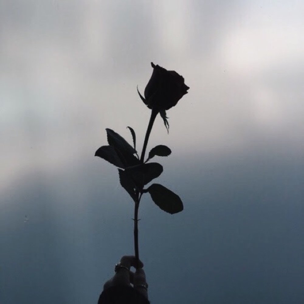 Meet your Posher, Ezra